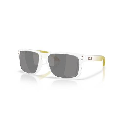 Sunglasses Erkek Güneş Gözlüğü 0OO9102-OAK.9102J9