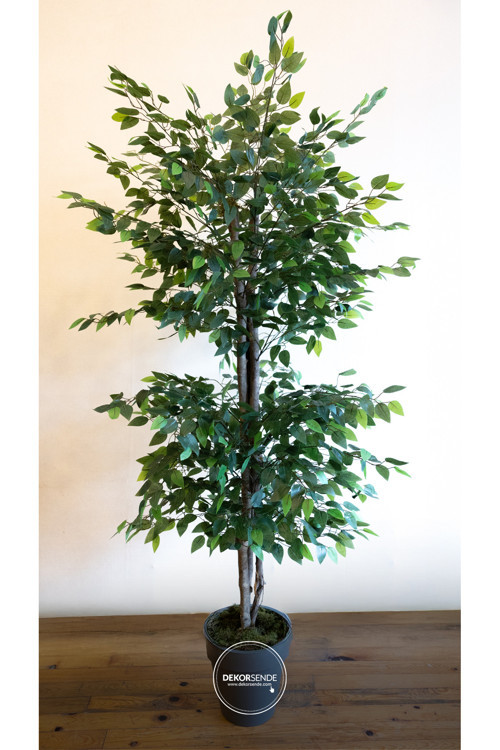 Yapay Ficus Benjamin Ağacı 170 Cm