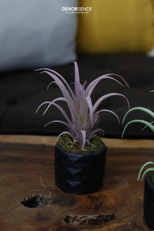 Yapay Tüylü Tillandsia Sukulent Lila 17 Cm