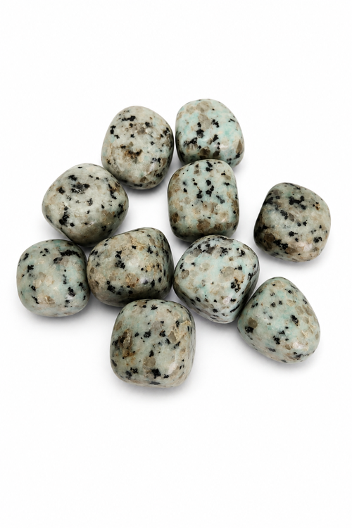 Kivi Jasper Doğal Taş 1 Adet 30 Gr – Kiwi Jasper Tamburlanmış Enerji ve Koleksiyon Taşı