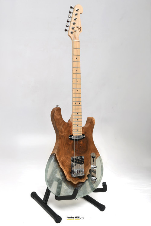 Elektro Gitar TELECASTER CUSTOM EPOKSİ & YILLANMIŞ AĞAÇ Kişiye Özel
