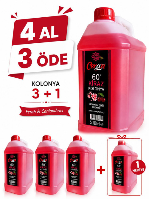 JAPON KİRAZ ÇİÇEĞİ 5 LİTRE 4 AL 3 ÖDE