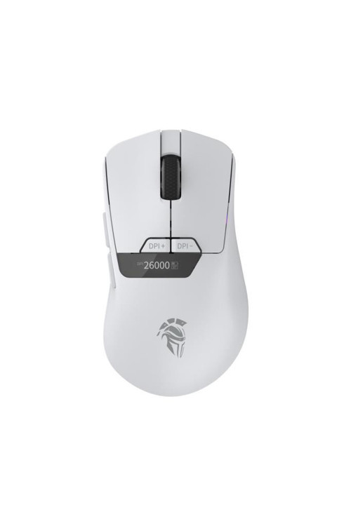 Raito RefleX 26000 Dpi Pixart PAW 3395 OLED Ekran & Makro Yazılım PTFE Kaplama 59gr RGB Kablosuz Gaming Mouse (2.