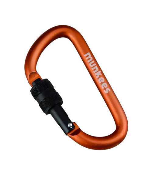 D-Shape Carabiner with Screw Lock 8 cm Renkli Unisex Anahtarlık