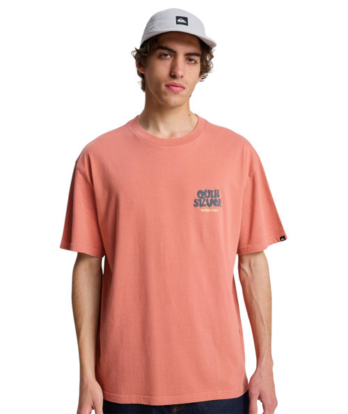 Fruits Tide Pembe Erkek Tshirt