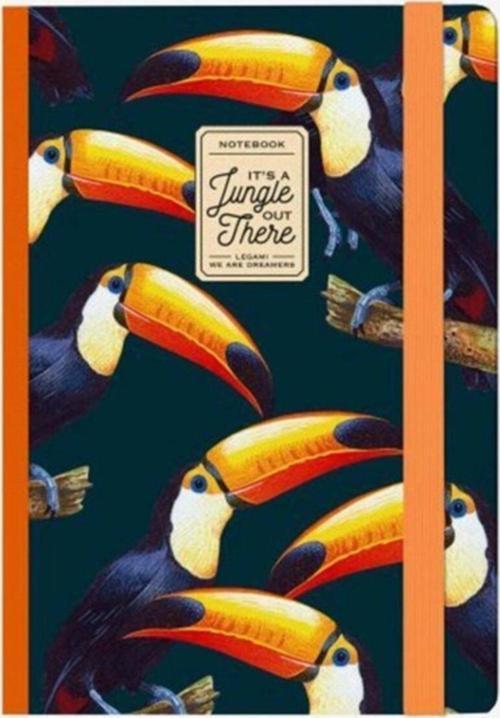 Defter Toucans