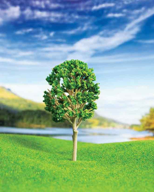 Ceviz Ağacı 10,5 cm 1 Adet