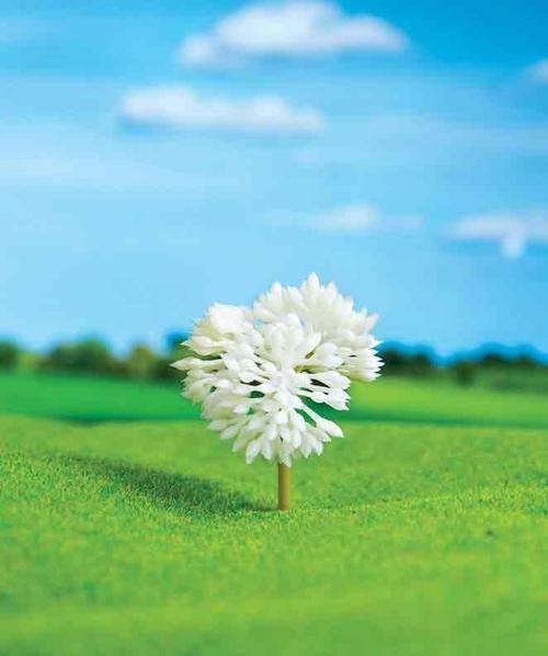 Gül Çalı 4,5 cm 2 Adet