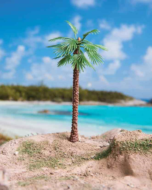 Washingtonia Palmiye 13 cm 2 Adet