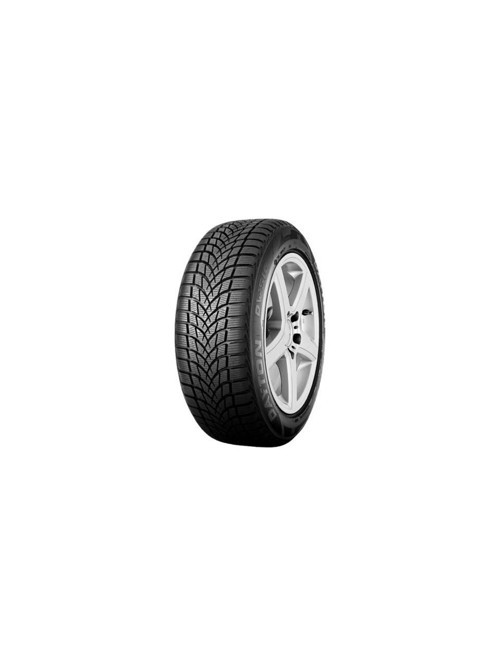 DW510 Evo 225/45 R17 91H Kış Lastiği - 2026