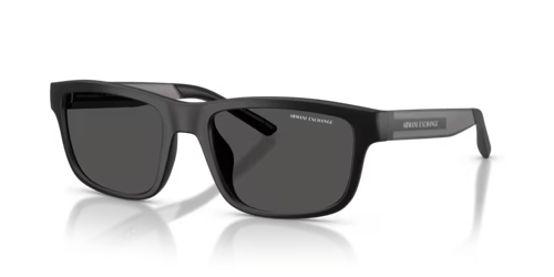 Armani Exchance 4169SU 500187 55-19-145 Erkek Güneş Gözlüğü
