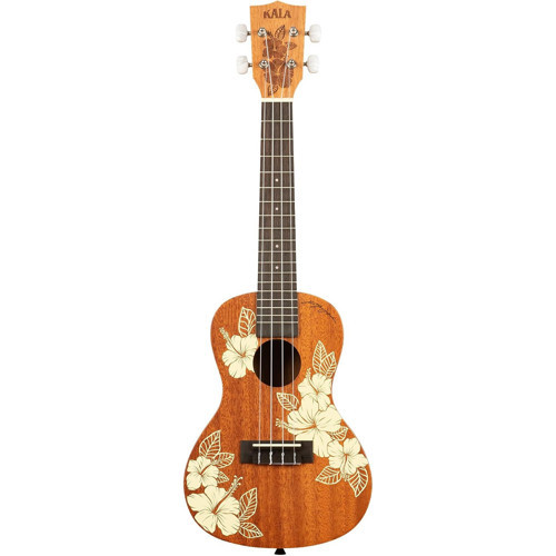 Hibiscus Maun Concert Ukulele