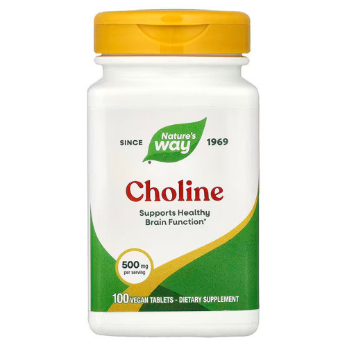 Nature's Way Choline bitartrate 500 mg 100 Vegan Tablets