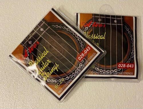 Akustik Gitar Teli 2 Adet