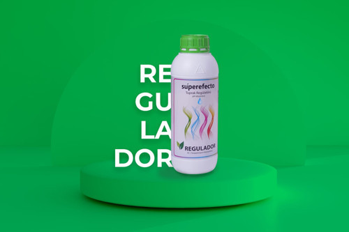 Regulador 5 Litre