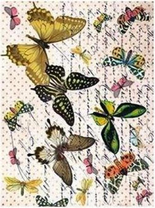 Pirinç Dekopaj Kağıdı Model 153