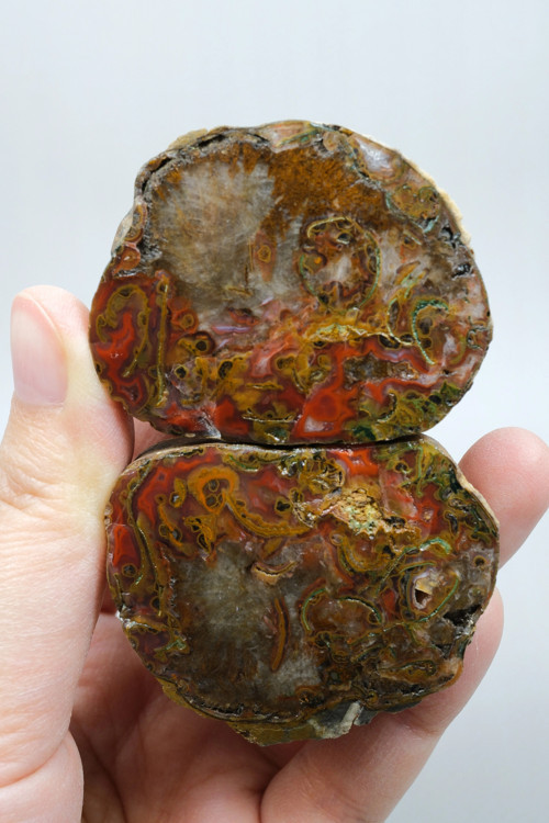 Carnelian Kırmızı ve Hardal Sarısı Bantlı Siyah Deniz Akik Çifti, 167g