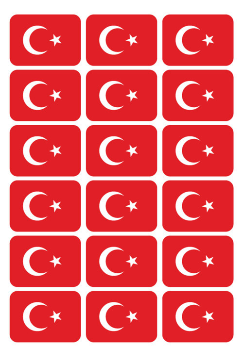 Türk Bayrağı Sticker Çıkartma Seti 216 Adet (4X3 Cm) - Ev Ofis Araba Seyahat Proje Etiketi