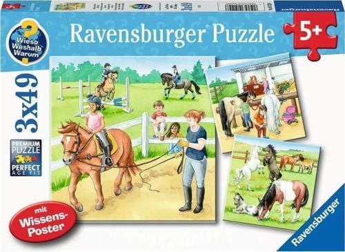 3x49 Parça Puzzle Ahırda Bir Gün 51298