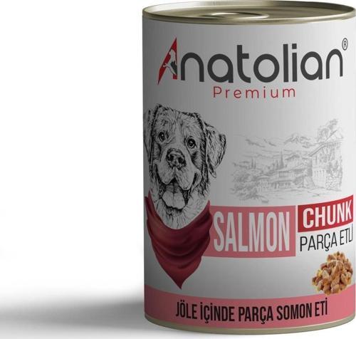 Adult Salmon Somonlu Parça Etli Yetişkin Köpek Konservesi 400 gr