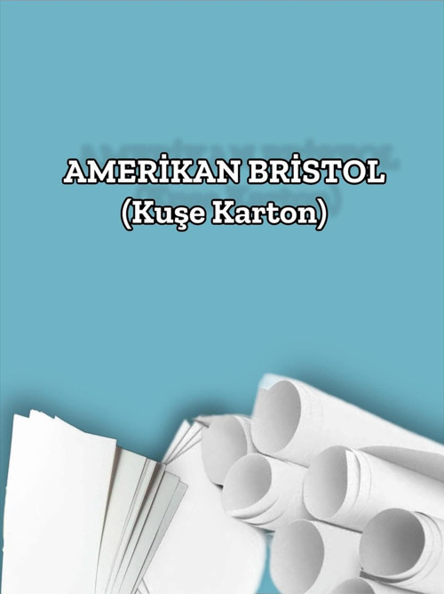 220 Gr. Amerikan Bristol Kağıt Karton 50x70 100 Adet