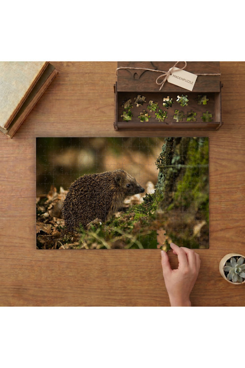 Ağaç Dibinde Sevimli Kirpi Tasarımı 240 Parça Ahşap Puzzle Ahşap Kutuda MPY40456
