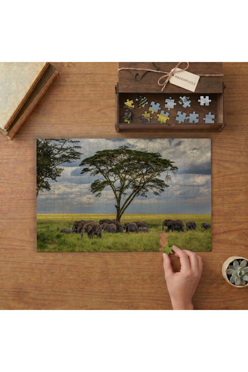 Afrikada Fil Sürüsü Tasarımı 240 Parça Ahşap Puzzle Ahşap Kutuda MPY40463