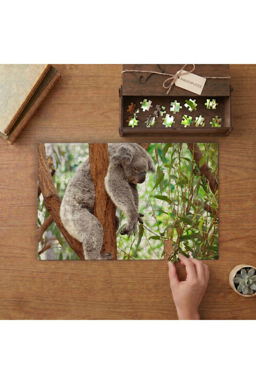 Ağaçta Uyuyan Miskin Koala Tasarımı 240 Parça Ahşap Puzzle Ahşap Kutuda MPY50016