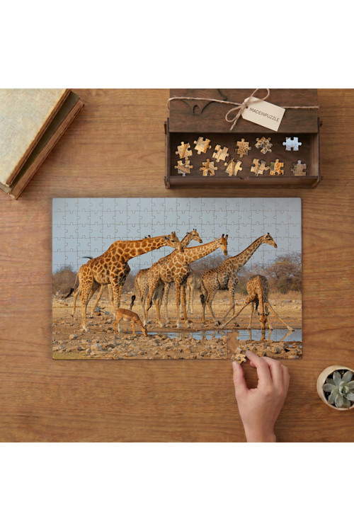 Antilop ve Zürafalar Tasarımı 240 parça Ahşap Puzzle Ahşap Kutuda MP07453