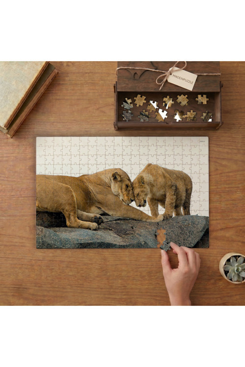 Anne ve Yavru Aslan Tasarımı 240 Parça Ahşap Puzzle Ahşap Kutuda MPY40073