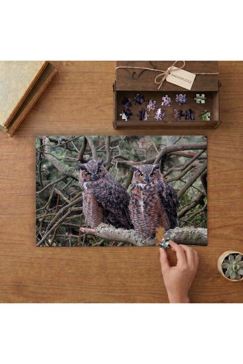 Ağaç Dalında Baykuşlar Tasarımı 240 Parça Ahşap Puzzle Ahşap Kutuda MPY50077