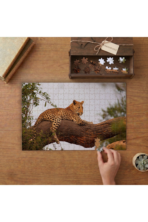 Ağaçta Leopar Tasarımı 240 Parça Ahşap Puzzle Ahşap Kutuda MPY50039