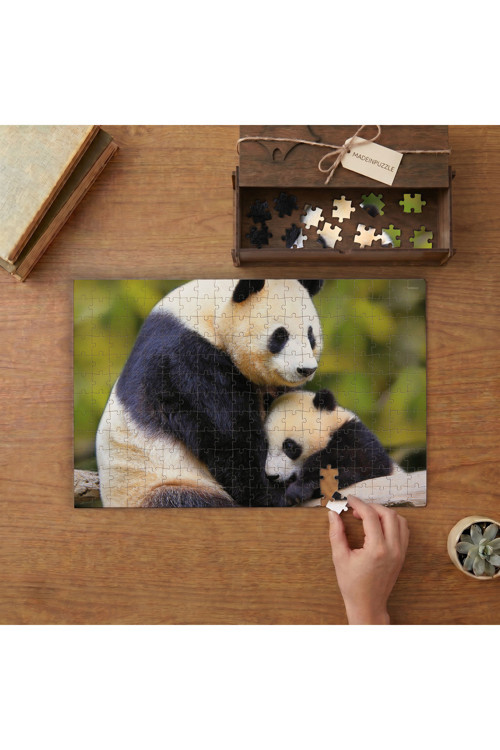 Anne ve Yavru Panda Tasarımı 240 Parça Ahşap Puzzle Ahşap Kutuda MPY50335