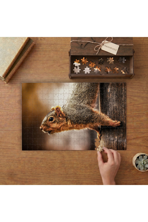 Ağaçta Sevimli Sincap Tasarımı 240 Parça Ahşap Puzzle Ahşap Kutuda MPY60280