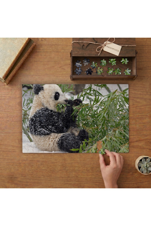 Bambu Yiyen Sevimli Panda Tasarımı 240 Parça Ahşap Puzzle Ahşap Kutuda MPY40374