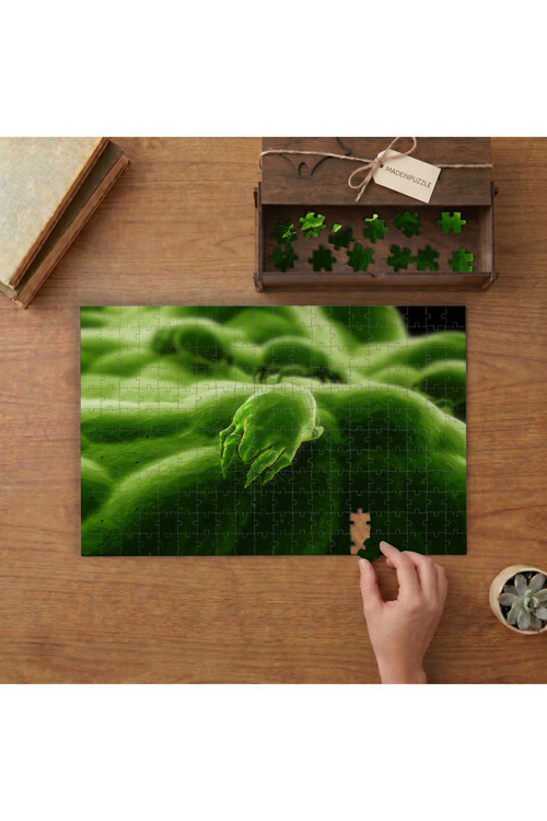 Bakteriler - Yakın Çekim Tasarımı 240 parça Ahşap Puzzle Ahşap Kutuda MP02540