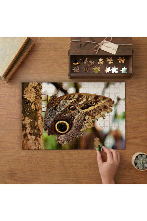 Baykuş Kelebeği Tasarımı 240 parça Ahşap Puzzle Ahşap Kutuda MP05169