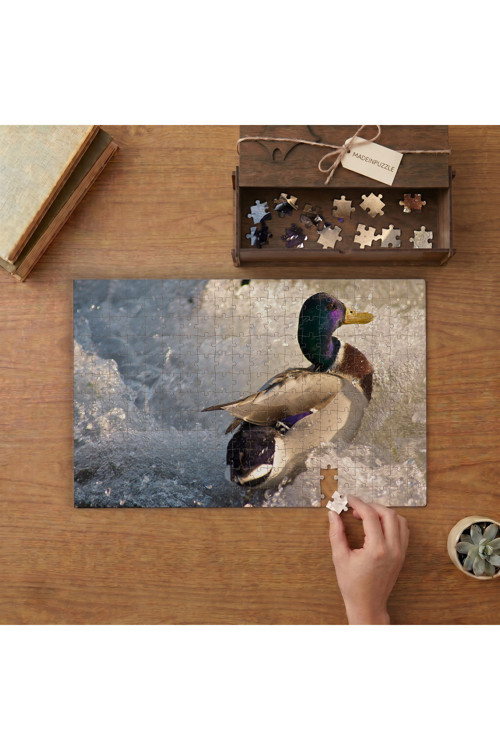 Buzların Üstünde Ordek Tasarımı 240 Parça Ahşap Puzzle Ahşap Kutuda MPY40167