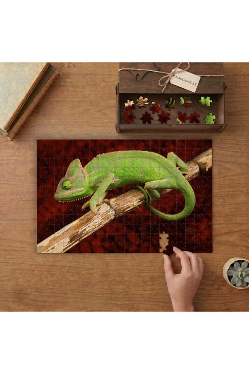 Bukalemun - Sürüngen Tasarımı 240 parça Ahşap Puzzle Ahşap Kutuda MP10887