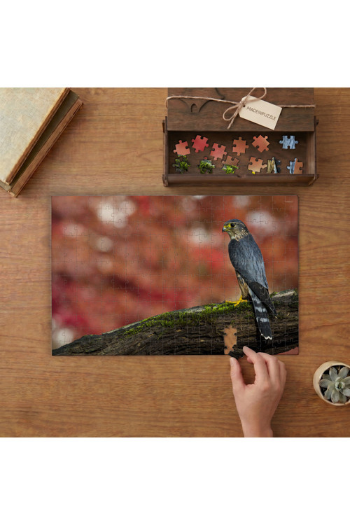 Dalın Üstünde Boz Doğan Kuşu Tasarımı 240 Parça Ahşap Puzzle Ahşap Kutuda MPY40448