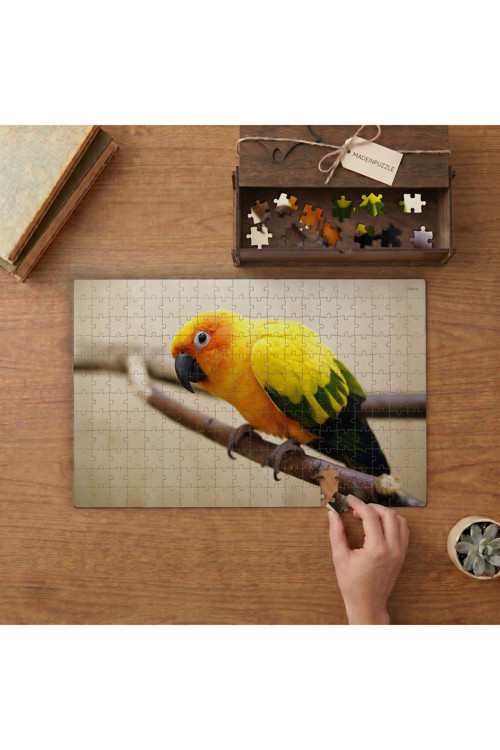 Dalda Turuncu Sarı Güzel Papağan Tasarımı 240 Parça Ahşap Puzzle Ahşap Kutuda MPY50361