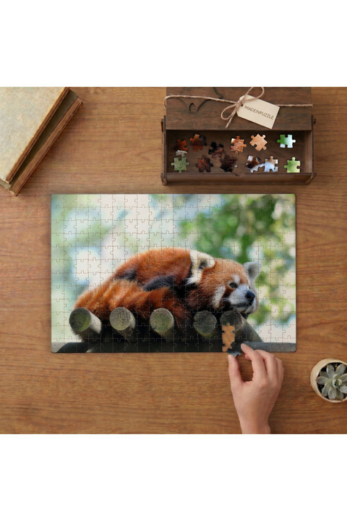 Dinlenen Tilki Tasarımı 240 Parça Ahşap Puzzle Ahşap Kutuda MPY60053