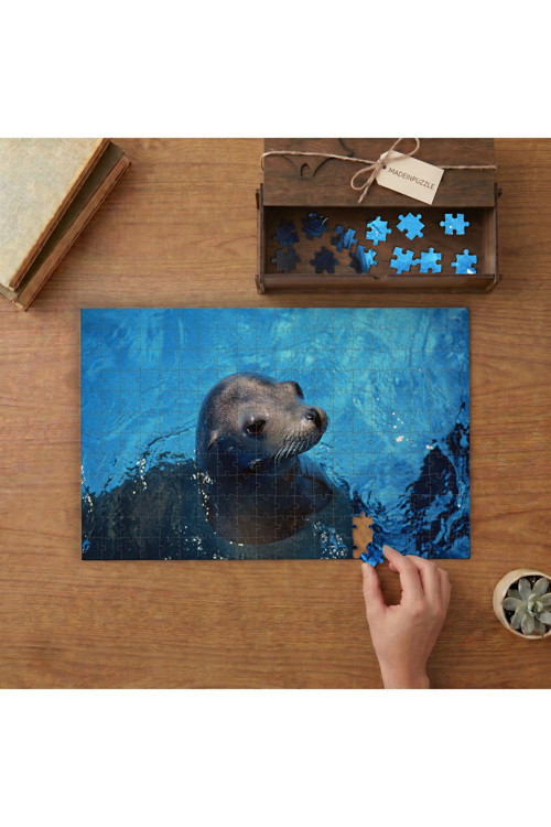 Deniz Aslanı Tasarımı 240 Parça Ahşap Puzzle Ahşap Kutuda MPY60119
