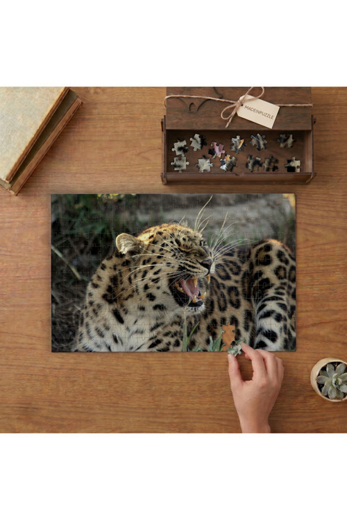 Dişlerini Gösteren Leopar Tasarımı 240 Parça Ahşap Puzzle Ahşap Kutuda MPY60090
