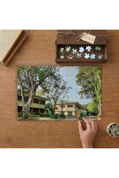 Doğa - Şehir -Ağaçlar Tasarımı 240 Parça Ahşap Puzzle Ahşap Kutuda MPY60111