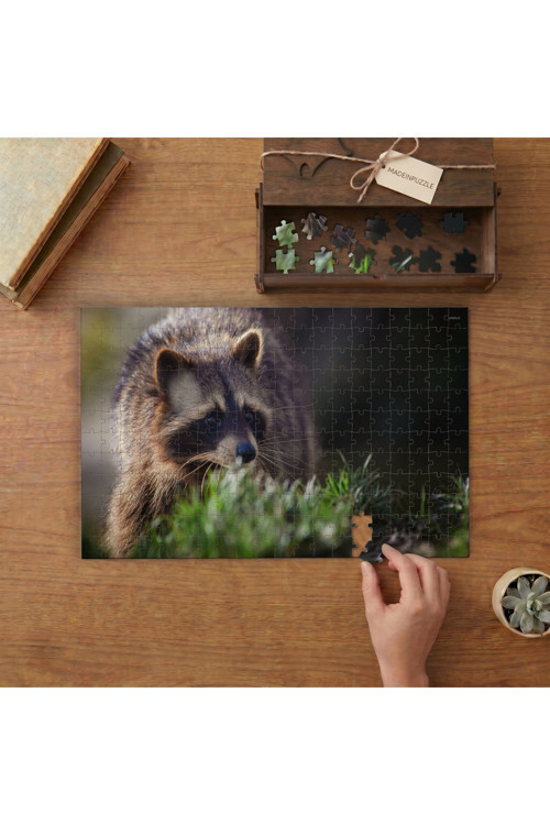 Doğada Rakun Tasarımı 240 Parça Ahşap Puzzle Ahşap Kutuda MPY60018