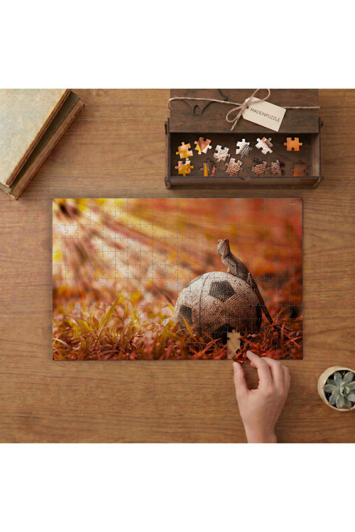 Eski Futbol Topu - İguana Tasarımı 240 Parça Ahşap Puzzle Ahşap Kutuda MPY40483