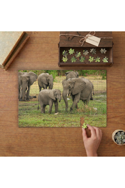 Fil Ailesi - Elephant Tasarımı 240 parça Ahşap Puzzle Ahşap Kutuda MP05085