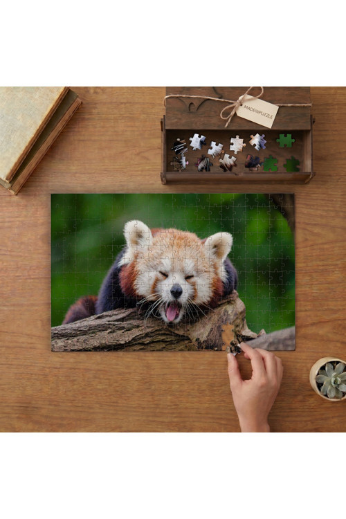 Esneyen Kızıl Panda Tasarımı 240 Parça Ahşap Puzzle Ahşap Kutuda MPY60064