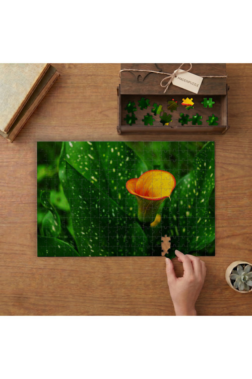Gala Çiçeği Tasarımı 240 parça Ahşap Puzzle Ahşap Kutuda MP07115